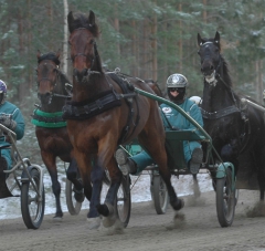 Quality Questioned 160204-1